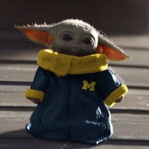 Meet your Posher, Bradley